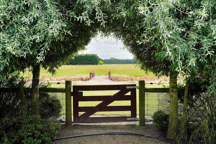 656 North Eyre Road Swannanoa_19