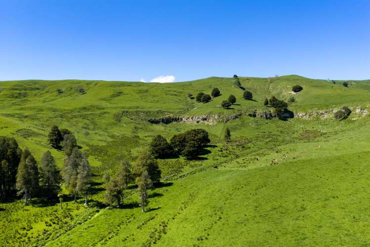 246 Allen and Eyre Road Onewhero_20