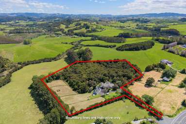 42 Mahurangi East Road_1