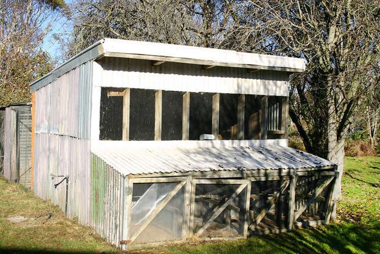 729 Palmerston-Waikouaiti Road Palmerston_12