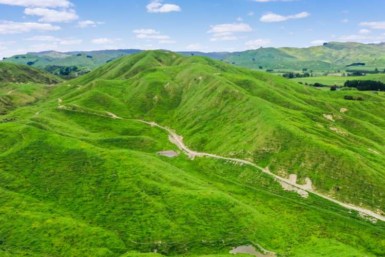 Thompsons Road Pahiatua_10