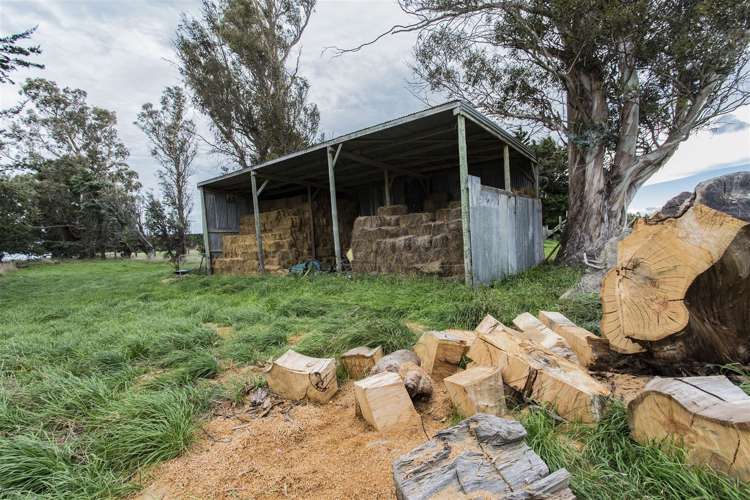 308 Stokes Road Balcairn_17