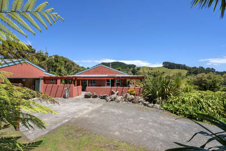 206 Colville Road Coromandel_12