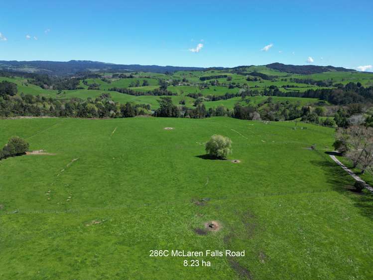 286 McLaren Falls Road_0