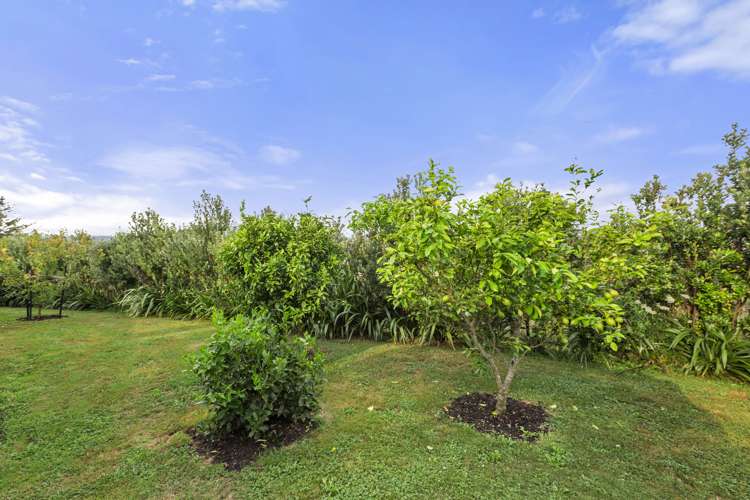 162 Checkley Road Raglan_21