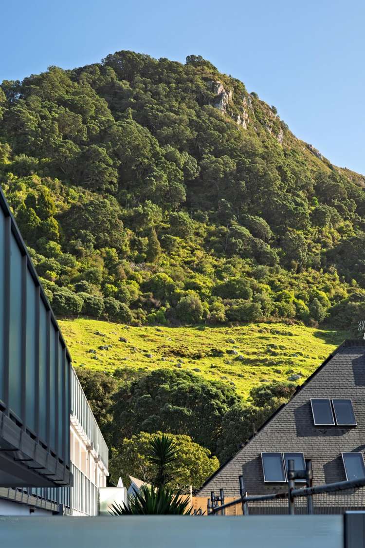 113/6 Adams Avenue Mt Maunganui_9