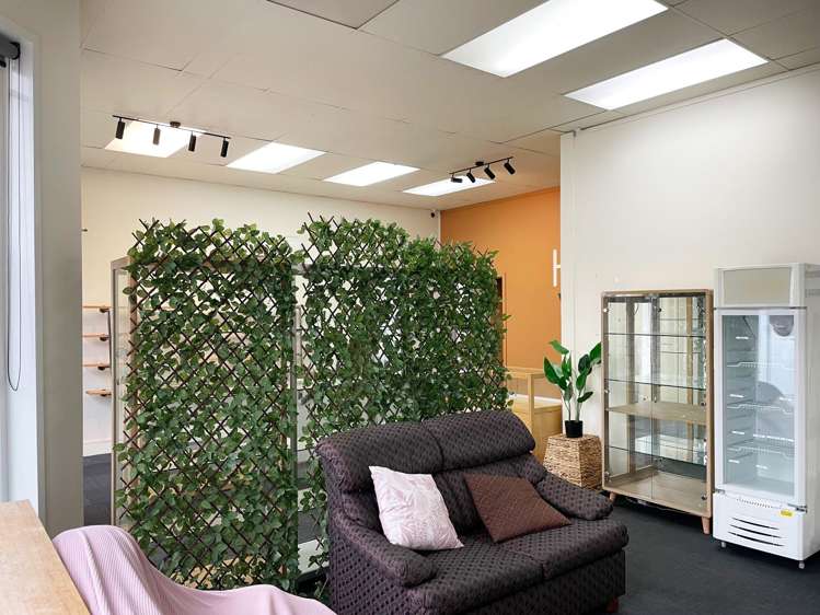 32 Albany Street North Dunedin_2