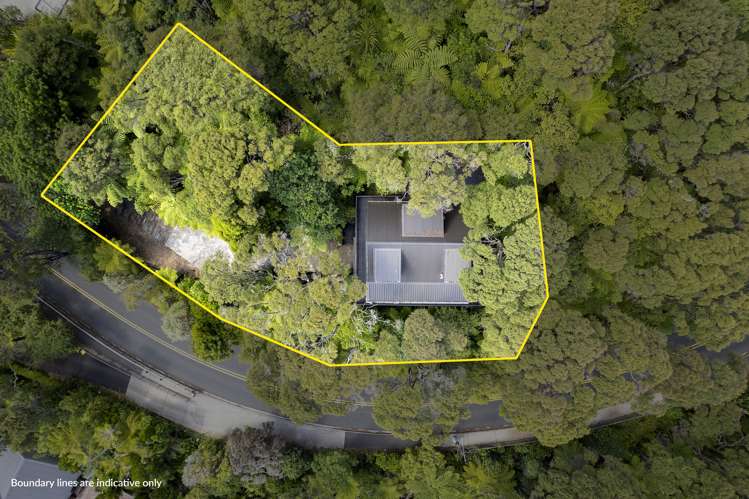 23 Scenic Drive Titirangi_21