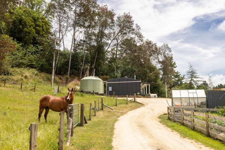 1019 Dartmoor Road Puketapu_8