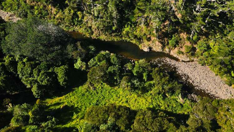 8 Te Mata Drive Te Mata_10