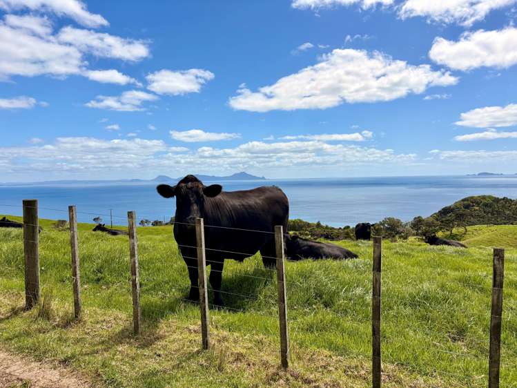 Address withheld Langs Beach_38