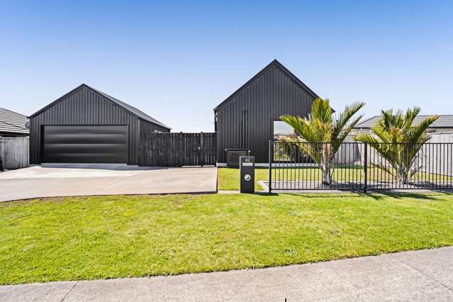 42 Papawhero Drive Bell Block_1