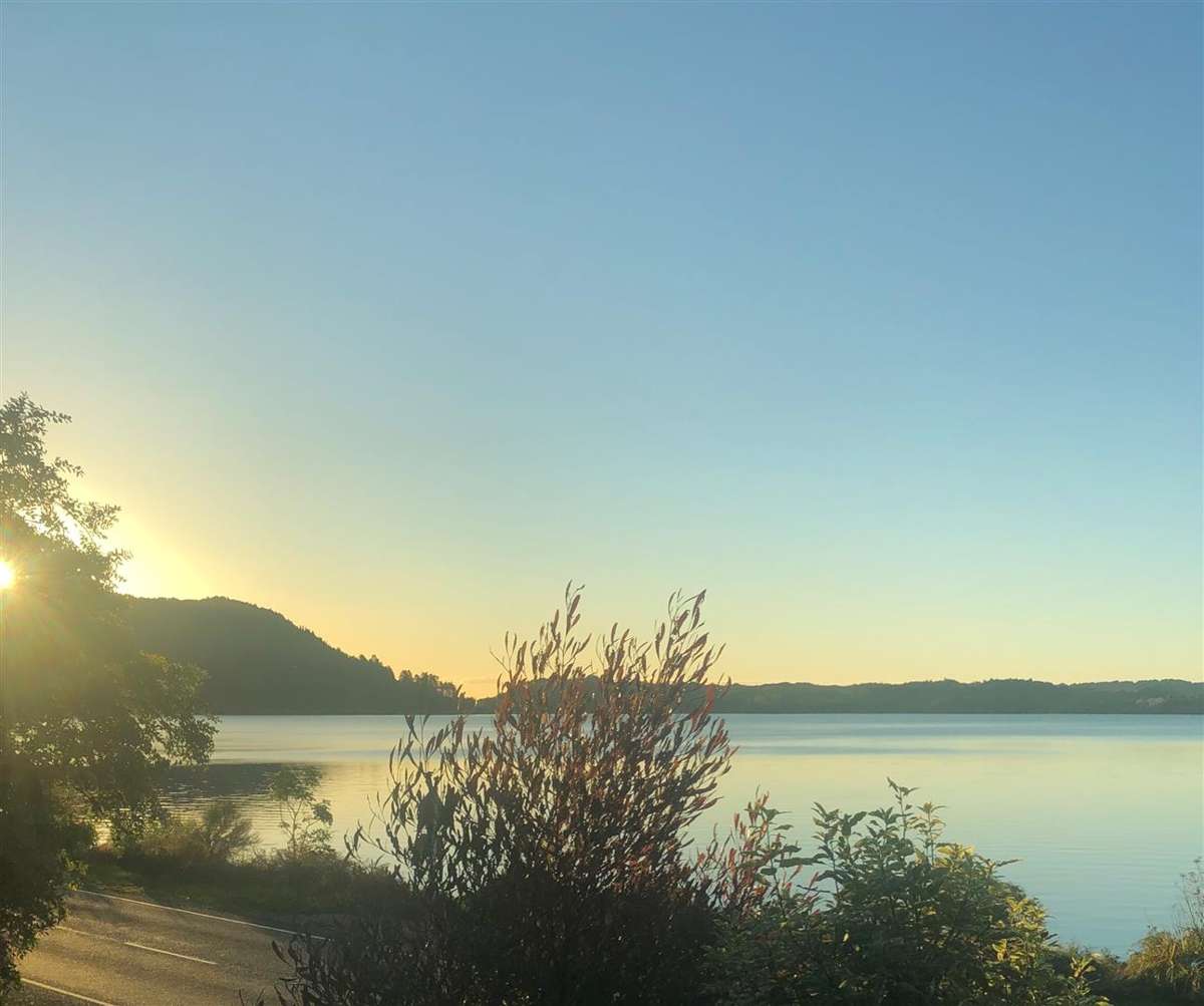 Rotoma 567 State Highway 30 | Lake Rotoma | Rotorua | Houses for Sale - OneRoof