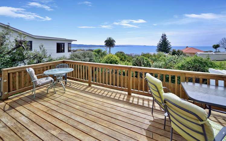 12 Williams Crescent Maketu_5