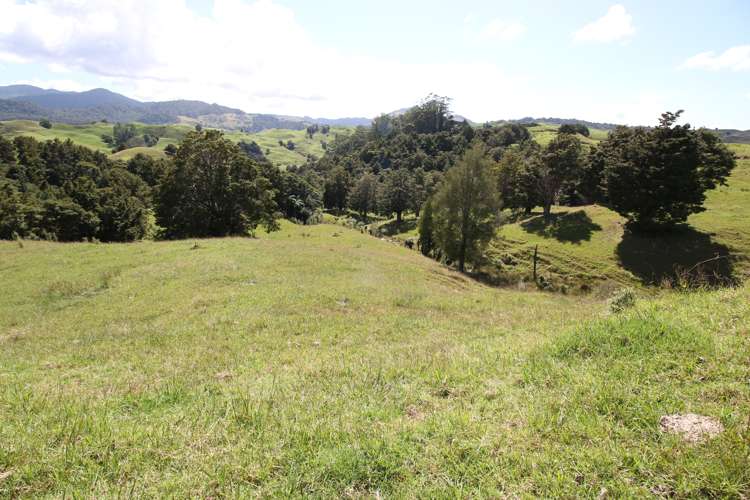 109 Paponga Road Broadwood_12