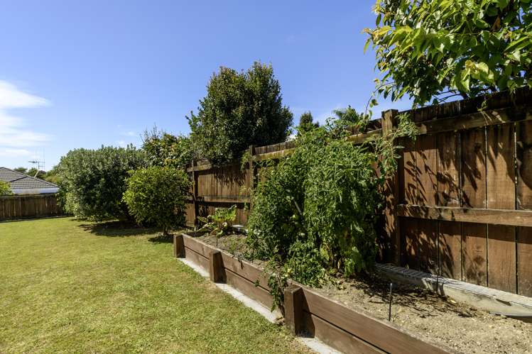 14 Albero Drive Ohauiti_20