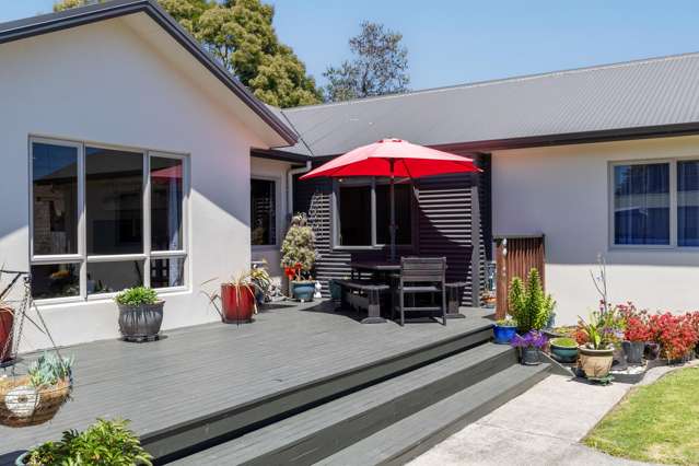 84 Allen Street Morrinsville_2