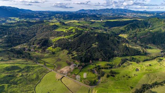 113 Puhata Road Herekino_3