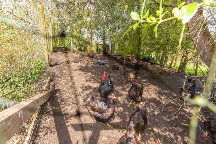 919 Waingaro Road Glen Massey_41