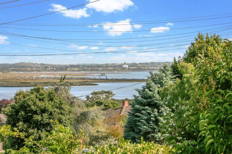 30 Fairlands Avenue Waterview_2