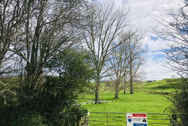 Lot 1 Waerenga Road Te Kauwhata_3