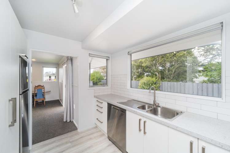 66 Kaimanawa Street Kelvin Grove_10