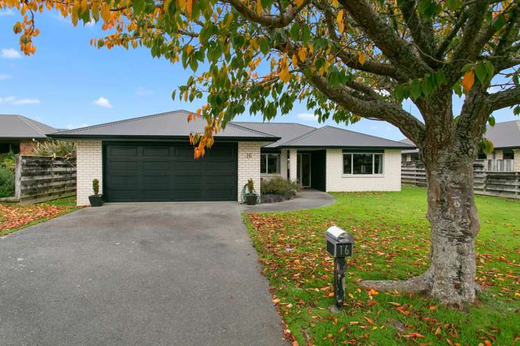 16 Ashworth Place Matamata_0