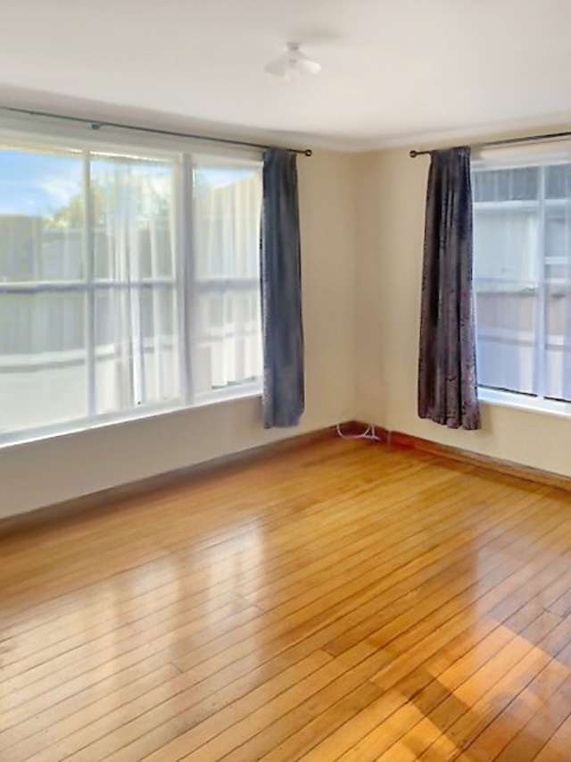 23 Holland Crescent Bulls_3