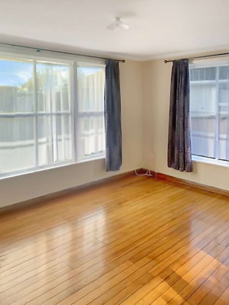 23 Holland Crescent Bulls_3