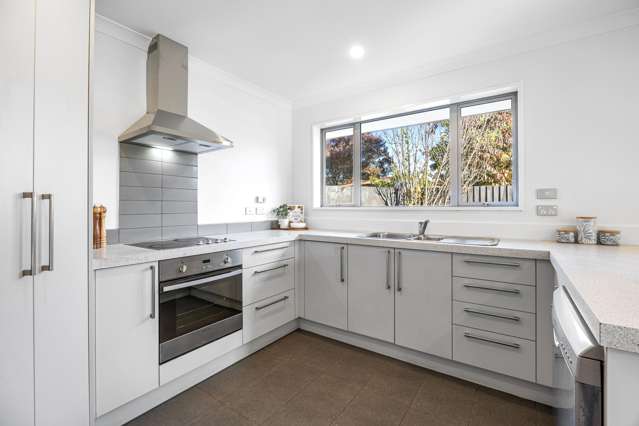 12A Wellington Street Phillipstown_2
