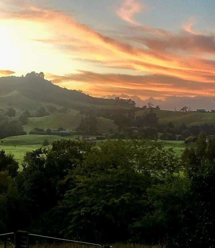 57 Kauaeranga Valley Road Thames_8