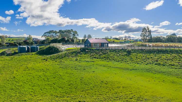 5 Tui Drive Waipukurau_19