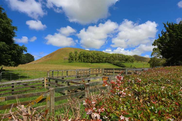 2580 Pourerere Road Central Hawkes Bay Coastal_31