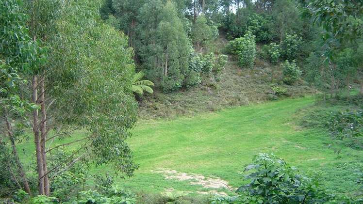 891 Pongakawa Valley Road Okere Falls_8