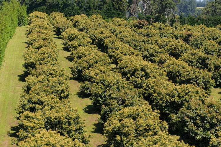 232C Williams Road North Pyes Pa_11