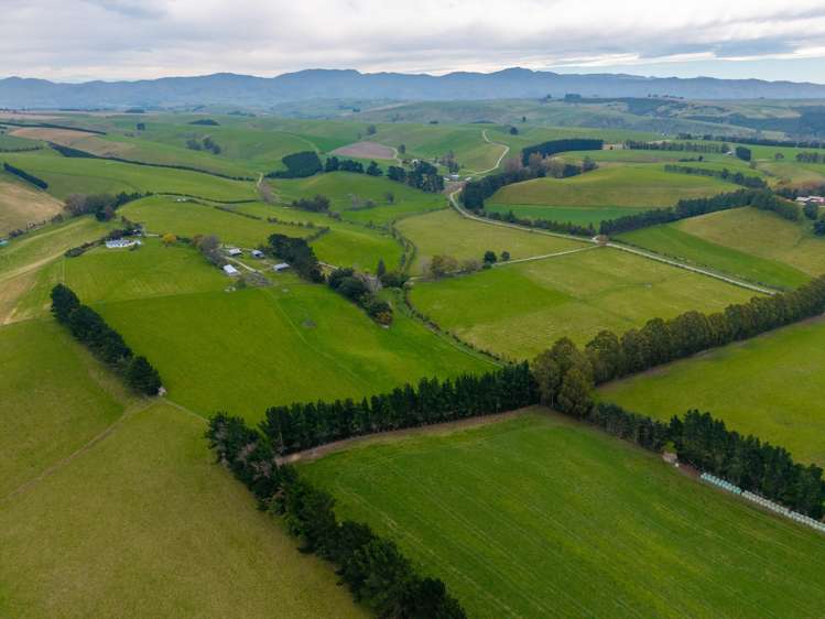 309 Ward Road Southburn_28