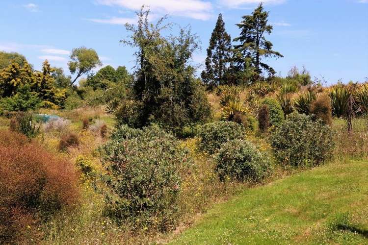 Waituna School Road Waimate_8