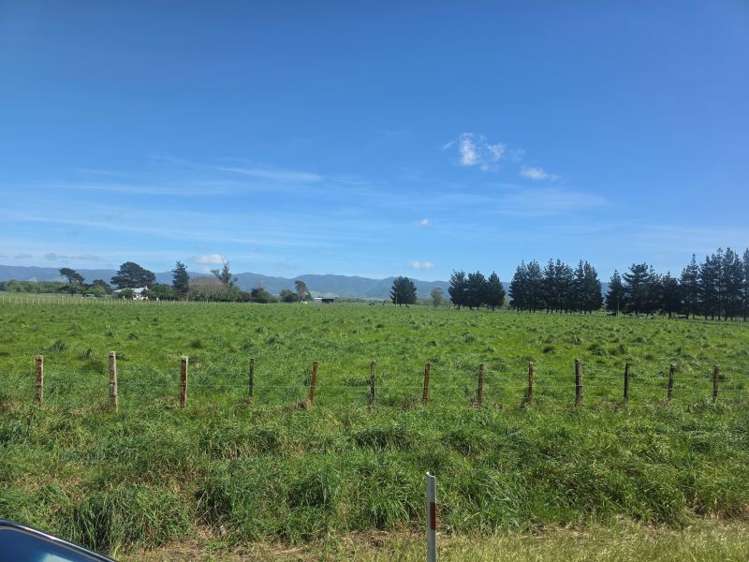 Kahutara Road Martinborough_1