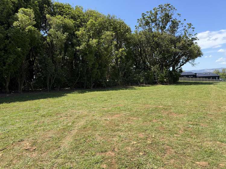 101 Anzac Road Pukekohe_1