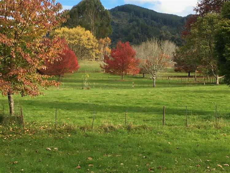 26 Greenhill Road Ngatimoti_37