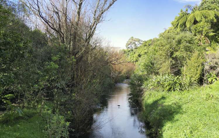 268 Turitea Road Turitea_15