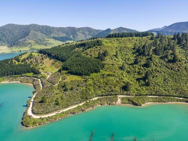 Waitaria Bay Kenepuru Sound_6