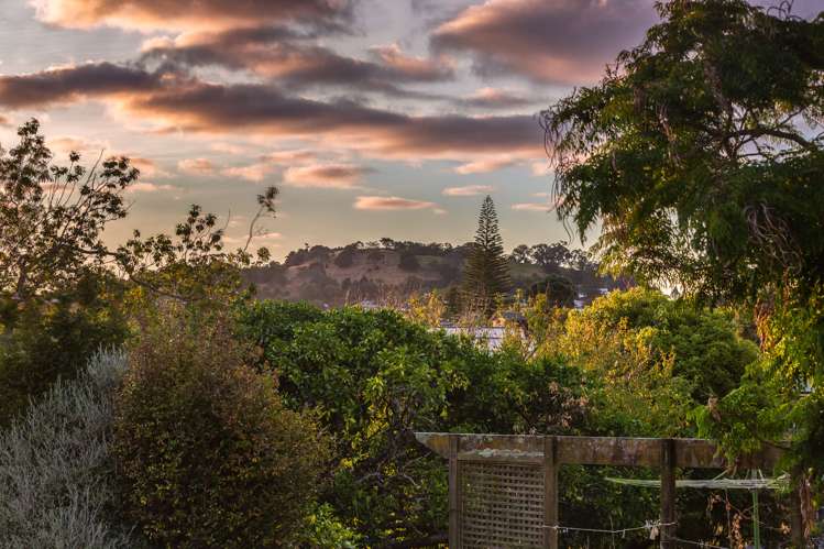 253b Mount Albert Road Wesley_17