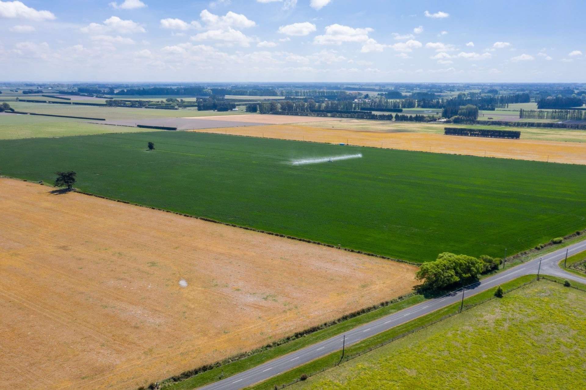 Selwyn Lake Road Leeston_0