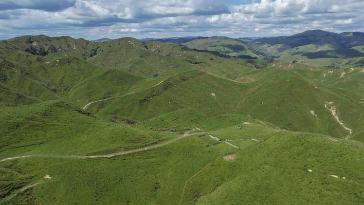 769 Pa Valley Road Eketahuna_13