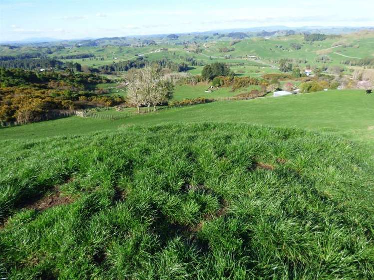 40 Ototoika Road Te Kuiti_20