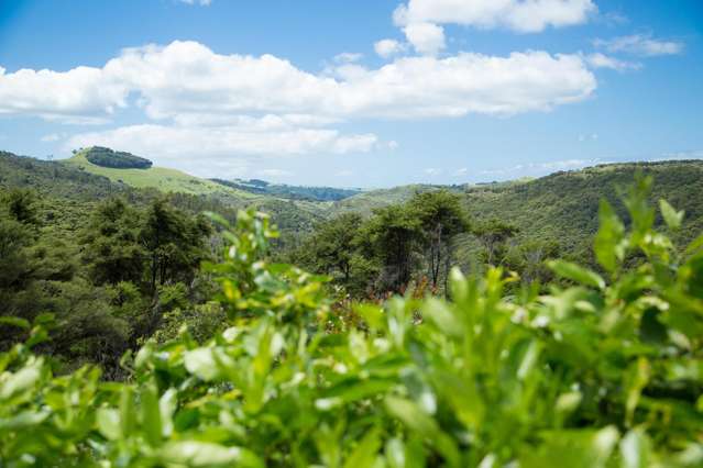 175 Orapiu Road Waiheke Island_4