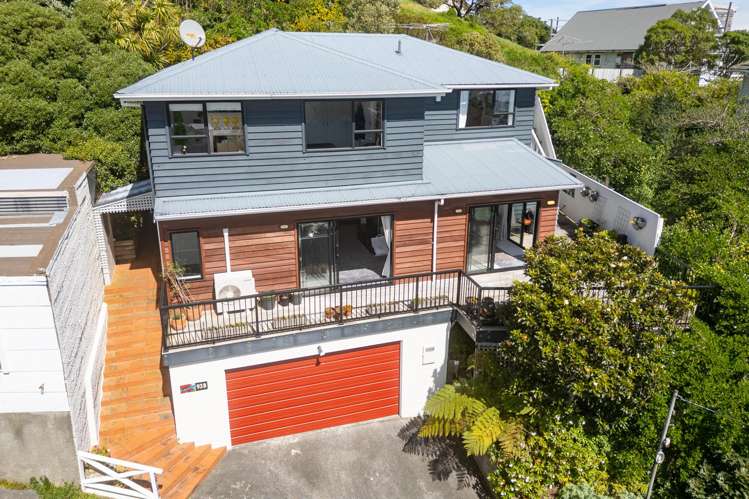 93b Townsend Road Miramar_23