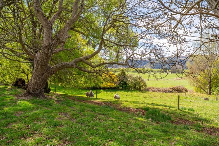 3492 Kurow-Duntroon Road Duntroon_26