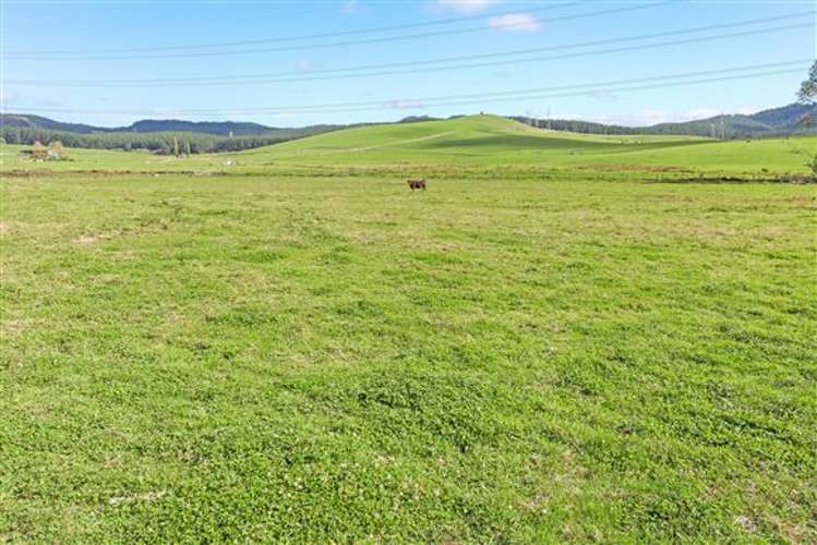 747 Kopuku Road Maramarua Forest_21